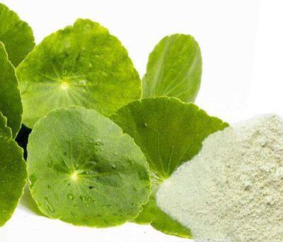 Centella asiatica extract