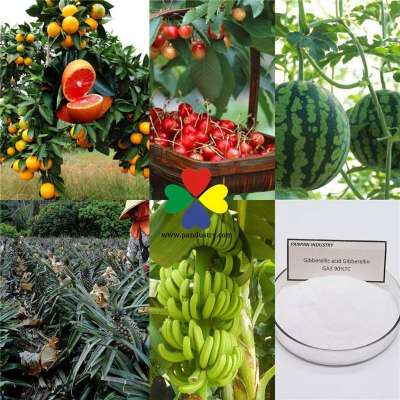 Hot Sale Pgr Gibberellic Acid Ga3 90% TC Biological Chemical Products photo-2