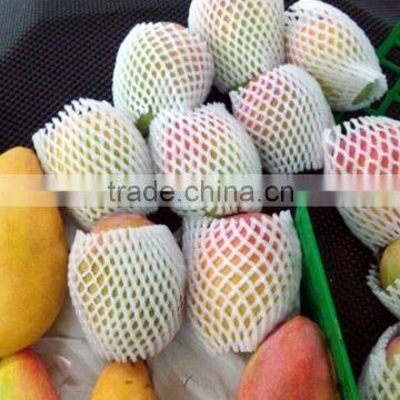 Mango protective foam packaging net