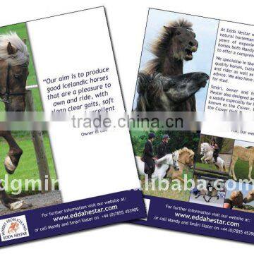 Printed Advertising Booklet