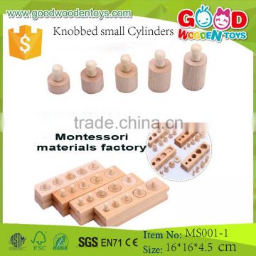 Montessori Toys Knobbed Small Cylinders Wooden Educational Toy                        
                                                Quality Choice