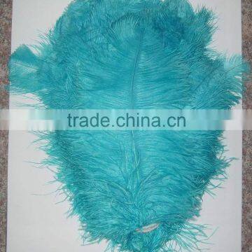 Colored Ostrich feathers