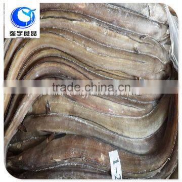 wholesale frozen seafood frozen eel fish