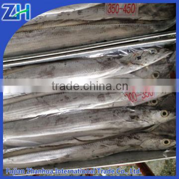 Frozen ribbon fish for sale