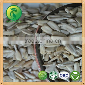 Bakery Sunflower Kernels High Quality from factory