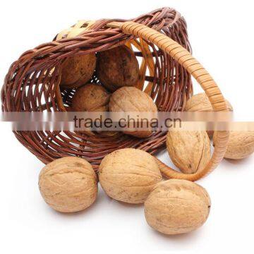 good quality walnut /light yellow walnut color for sale