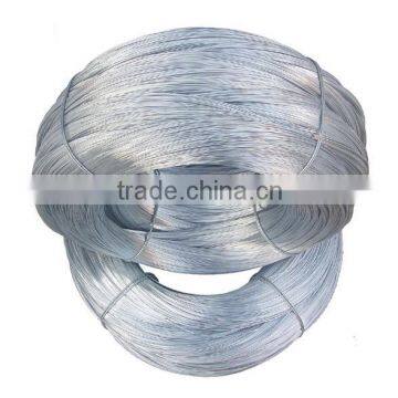 High Quality Coated by Electric Galvanized Iron Wire photo-3
