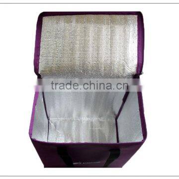 Fashionable Beer Bottle Cooler Bag Traveling Cooler Bag for Medication photo-4