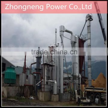 Biomass gasification power plant in overseas