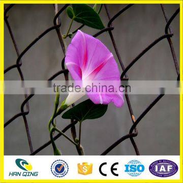 Hot Dipped Galvanized Steel Wire Chain Link Fence With 60mmX60mm Opening photo-6