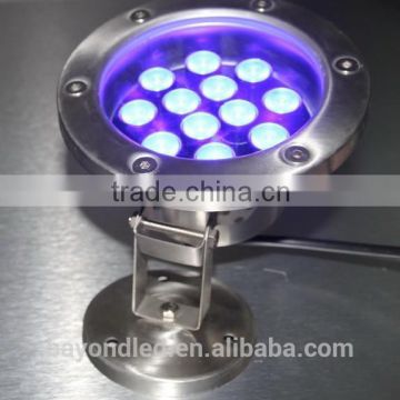 CE&RoHS submersible led light for swimming pool 12v