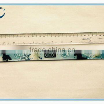 2015 Wholesale Cheap School Plastic Ruler Plastic Ruler 30cm With Logo Printing photo-2