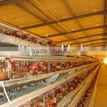 layer egg chicken cage/poultry farm house design