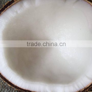 Dried Mature Coconut - QQ : 2598494113