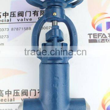 carbon steel double weld end needle valve