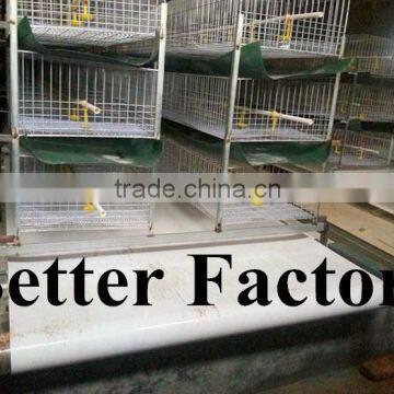 BT Factory high quality commercial auto manure removal machine (welcome to my factory)