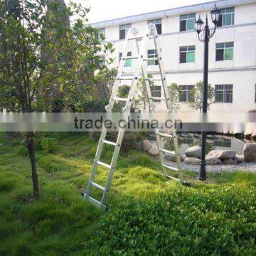 Folding Ladder