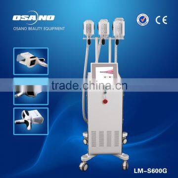 New coming Lipo Ice fat cryolypolysis machine 3d lipo salon