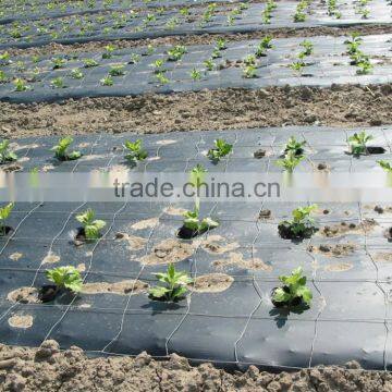 Cheap Garden PE Protective Mulch Film photo-4