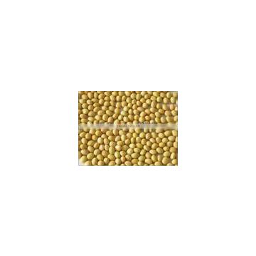 chinese small yellow beans supplier