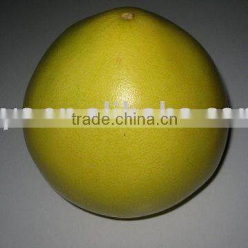 Fresh honey pomelo