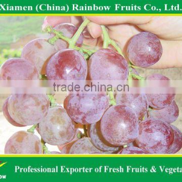 Table Grapes