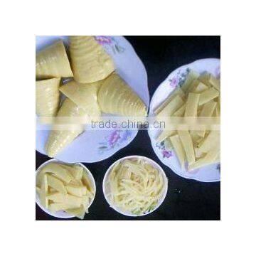 cook canned bamboo shoot slices