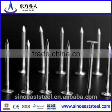 Hot Promotion!! chinese factory supply stainless steel concrete nails