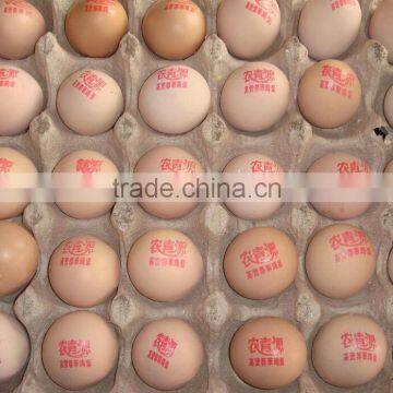 Commerical Yoghourt Date Coding Machine/milk Date Printer/dairy Product Date Printing Machine photo-6