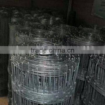 Hot-dipped Galvanized Steel 120cm Height Hinge Joint Cattle Fence Wire