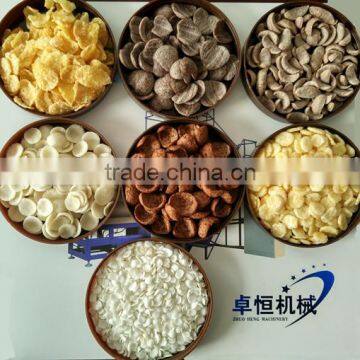 Double Twin Screw Exruder Corn Flacks Snack Making Machine photo-2