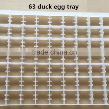 63 pcs duck egg tray