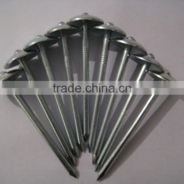 china roofing nails