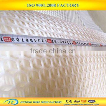 Plastic Plain Netting/poutry Plastic Chicken Net photo-2