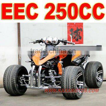 125cc Racing ATV