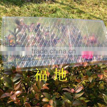 Flat Seed Tray for Rice Seedling/cultivating Rice Sprouts photo-2