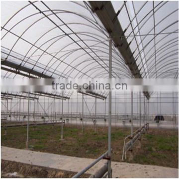 Factory Supply PVC Greenhouse Tent for Sale