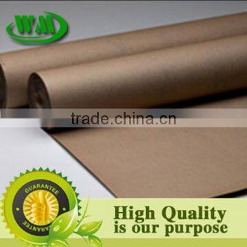 pe coating brown kraft paper laminated with woven fabric for package