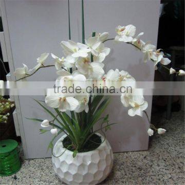 2017 GZ high quality colorful plastic flowers for hotel decoration artificial orchid for sale