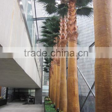 Artificial Different Kinds Of Washington Palm Trees Artificial Plants