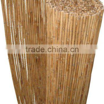 Bamboo Fence