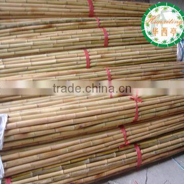 white color bamboo dyeing poles / cheap bamboo fencing