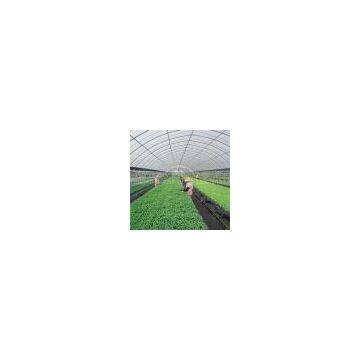 Polycarbonate PC Sheet for Greenhouse