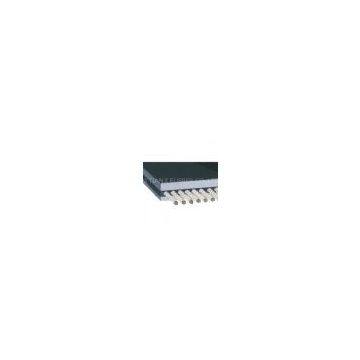STEEL CORD CONVEYOR BELT
