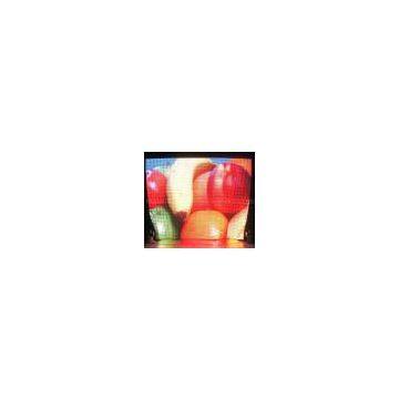 Flexible LED display