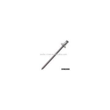 Blind Rivet/Open Type Rivet/Steel Rivet