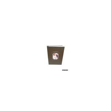leather photo album sad-011