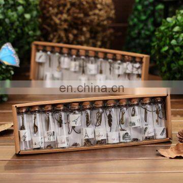 creative decorative small glass bottles with corks custom diy glass bottle with charms pendants