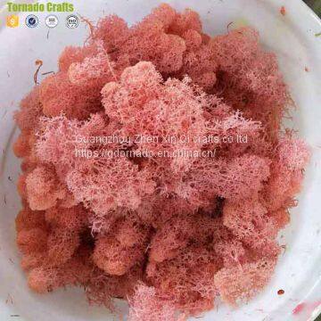 High Quality 500G Per Box Artificial Decorative Moss Preserved Moss for Moss Wall Decoration photo-5