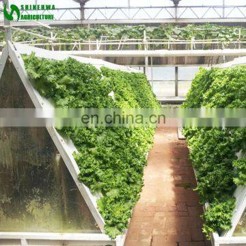 Agricultural Greenhouse Wall Hydroponic Growing Systems photo-3